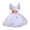 White Ballet Dance Dress Girls Princess Costume Dress Butterfly Ballet Tutu Skirt