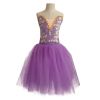 Girls Purple Ballet Dance Costumes Swan Tutu Skirt Sequin Performance Dress for Kids
