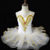 White Girls Ballet Dance Dress Tutu Skirt Performance Gauze Dress Princess Swan Ballet Dress Costume